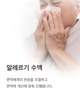 Allergy IV: helps regulate the immune response and improve immunity
